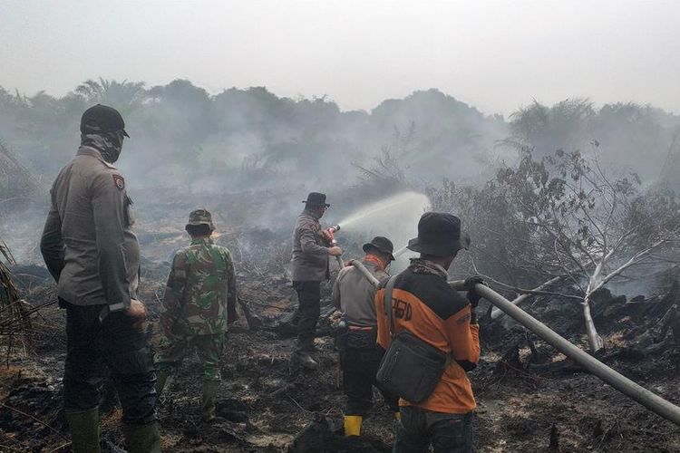 Tim Satgas Karhutla Rohil melakukan pemadaman titik api di lahan yang terbakar, yang berdekatan dengan kebun sawit PT Jatim Jaya Perkasa di Desa
Teluk Bano, Kecamatan Pekaitan, Rohil, Riau, Rabu (3/7/2019).