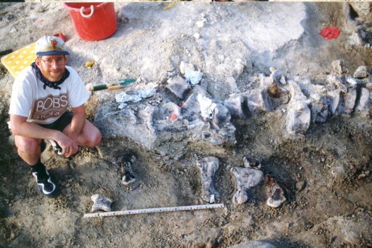Temuan fosil tulang kaki Brachiosaurus pada tahun 1998.