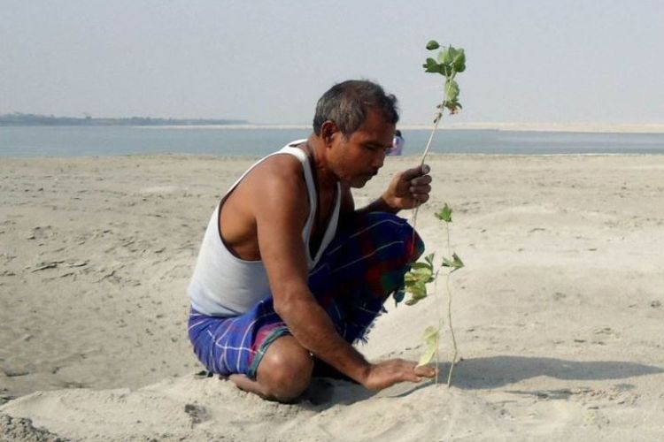 Jadav Payeng, yang dijuluki Manusia Hutan dari India, menanam bibit pohon di lahan di pulau Majuli, di tengah sungai Brahmaputra.