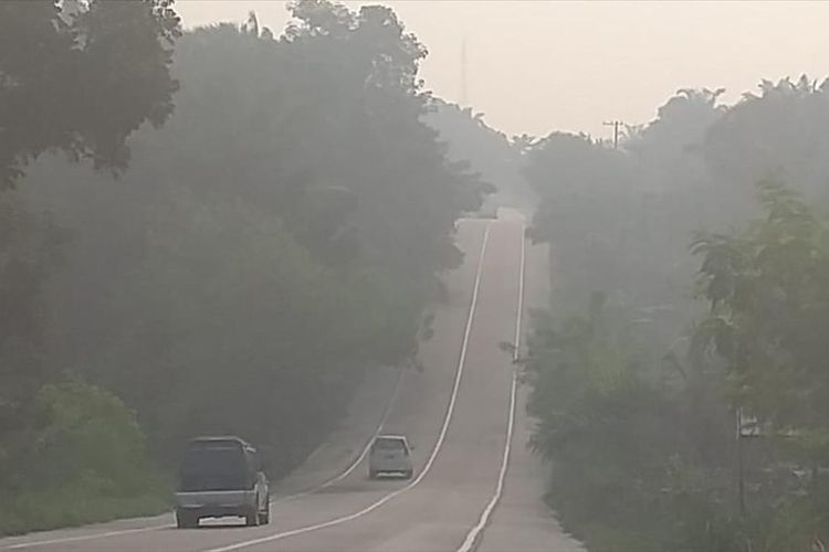 Kabut asap karhutla terlihat pekat di ruas jalam lintas Pelalawan-Pekanbaru, Riau, Sabtu (3/8/2019).