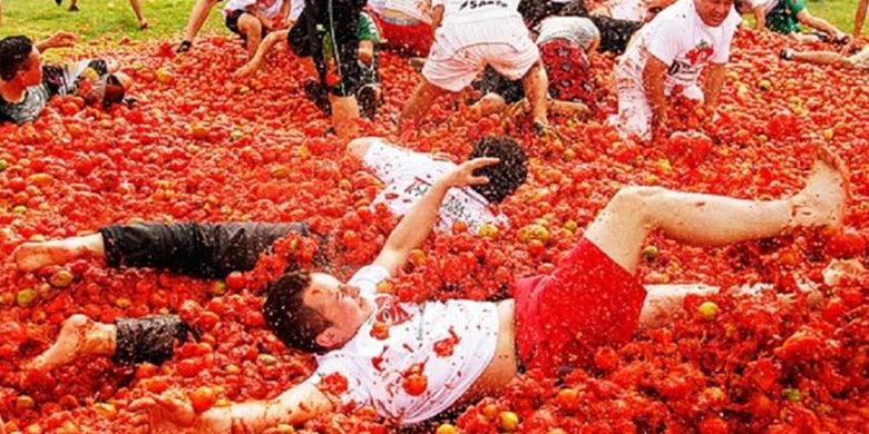 Suasana ketike perang buah tomat