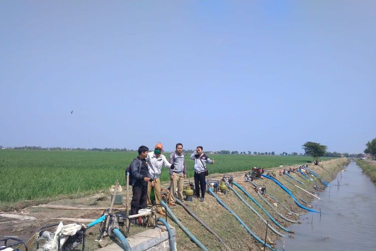 Ratusan pompa air telah disiagakan Kementerian Pertanian (Kementan) di Indramayu untuk mengantisipasi terjadinya kekeringan ekstrim pada dasarian II Juli 2019. Nantinya, pompa tersebut akan menyalurkan air bersih ke sejumlah desa yang mengalami krisis air bersih.