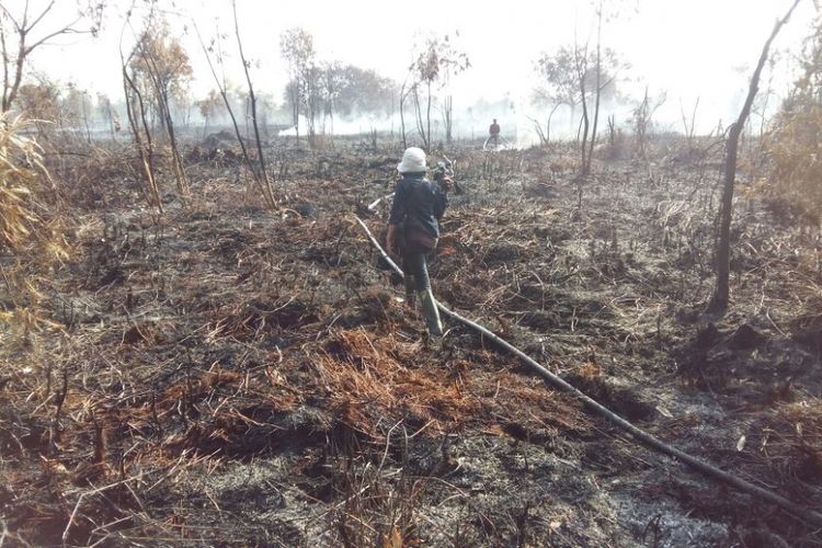 Kebakaran hutan dan lahan yang terjadi di Kecamatan Tapung, Kabupaten Kampar, Riau, pada bulan Agustus 2018 lalu.