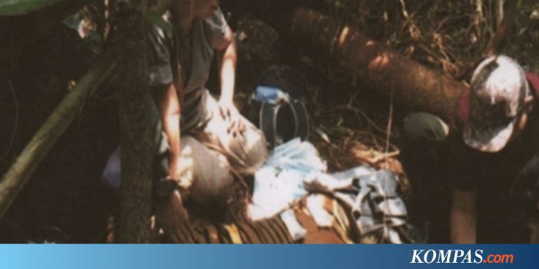 Seekor Harimau Sumatera Terjerat di Hutan Pelalawan Riau