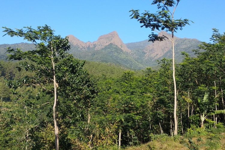 Inilah Gunung Piramid di Pegunungan Argopuro di Kabupaten Bondowoso, Jawa Timur, lokasi hilangnya Thoriq Rizki Maulidan, pendaki remaja asal Desa Sukowiryo Kecamatan Bondowoso.