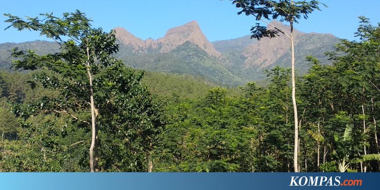 Jenazah Thoriq Ditemukan Tersangkut di Pohon