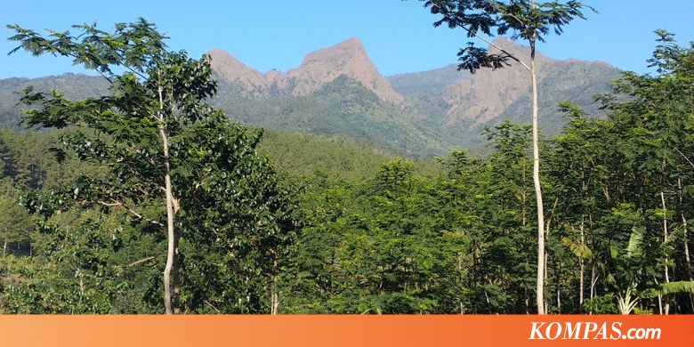 Gunung Piramid dalam Ingatan Mereka yang Pernah Mendakinya...