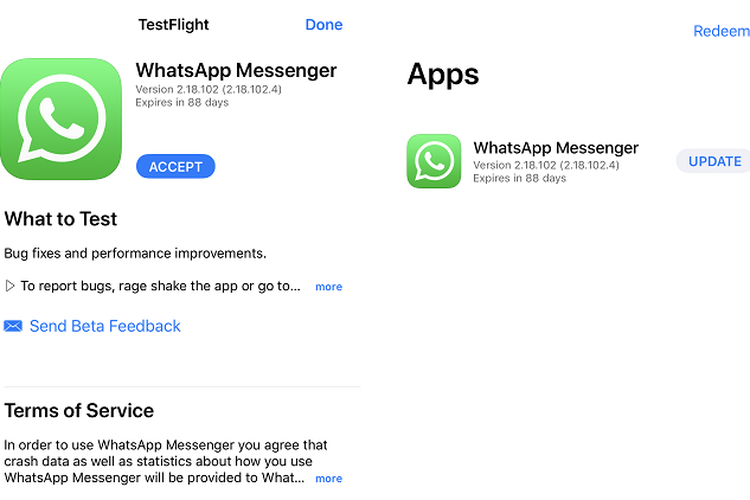 WhatsApp beta iOS