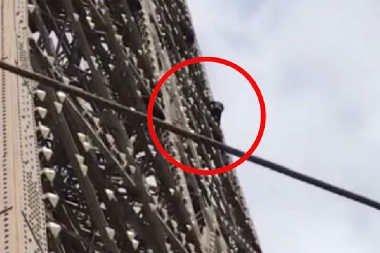 Lingkaran merah menunjukkan seorang pria tengah memanjat Menara Eiffel seorang diri pada Senin siang waktu setempat (20/5/2019).