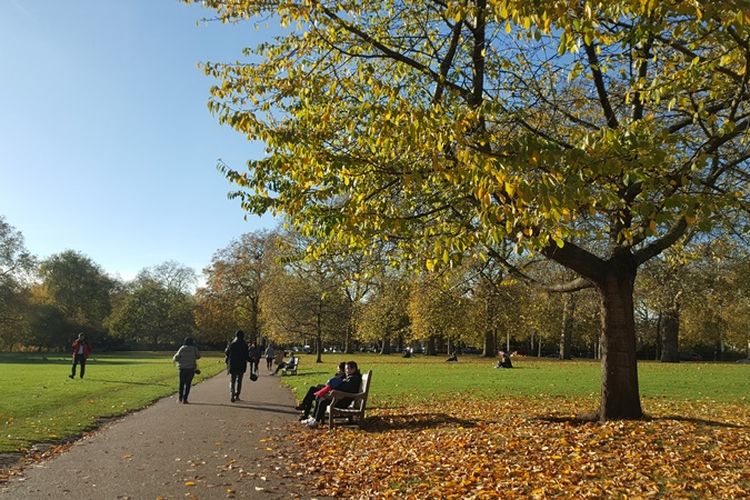 St James Park adalah taman seluas 23 hektar yang berada di sisi kiri Istana Buckingham. Taman ini juga meliputi danau yang membentang dengan angsa, pelikan dan berbagai burung lainnya yang beterbangan dan bermain di atasnya. Pengunjung juga bisa melihat tupai berlarian dan memanjat pohon. Banyak hal yang bisa dilakukan mulai duduk-duduk di bangku taman, makan siang, hingga piknik di atas rumput.