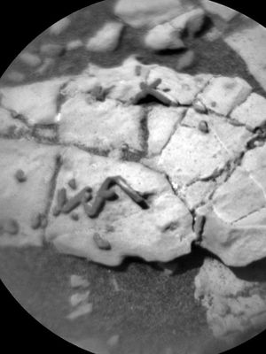 foto awal yang diduga jejak fosil di Mars