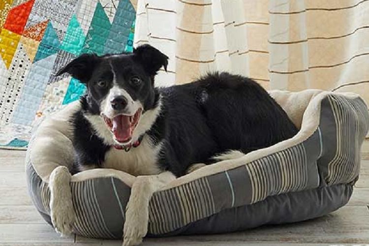 Tempat tidur untuk anjing (Better homes and garden)