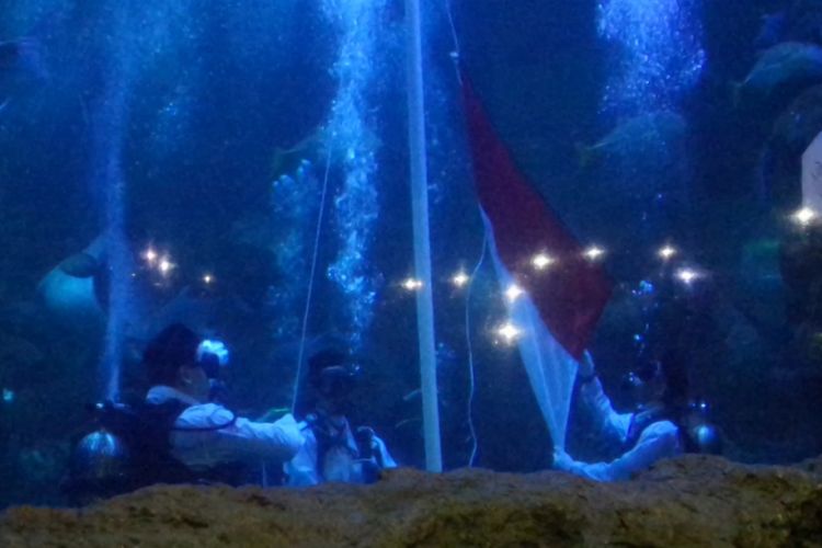 Aurelie Moeremans mengibarkan bendera Merah Putih di dalam akuarium Seaworld, Ancol, Jakarta Utara, Kamis (17/8/2017).