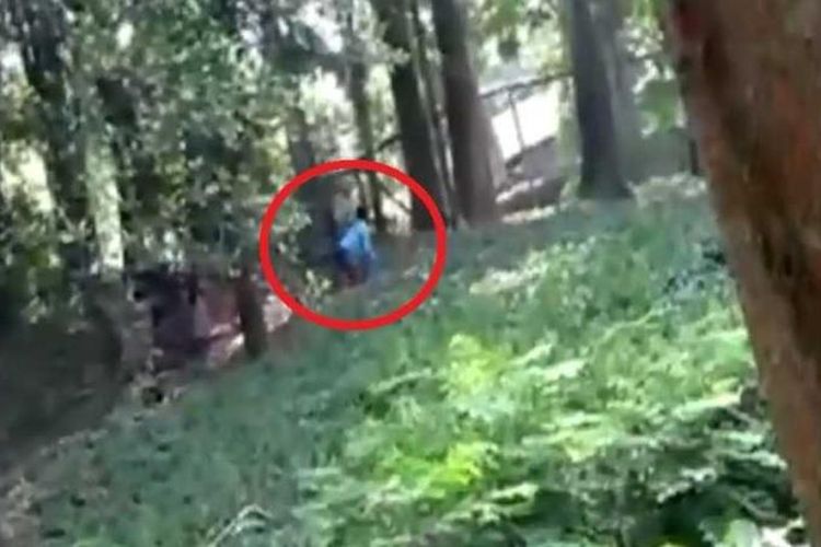 Potongan gambar video yang memperlihatkan pria bernama Murugan masuk ke dalam kandang singa di Kebun Binatang Thiruvananthapuram, India, Rabu (21/2/2018).