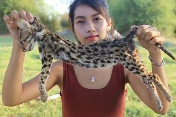 YouTuber asal Kamboja, Ah Lin Tuch saat akan memasak seekor kucing hutan yang terancam punah.