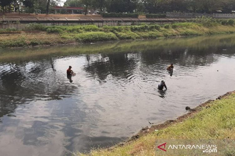 Pencari cacing bekerja di Kanal Banjir Timur, Jakarta Timur, Jumat (19/7/2019). 
