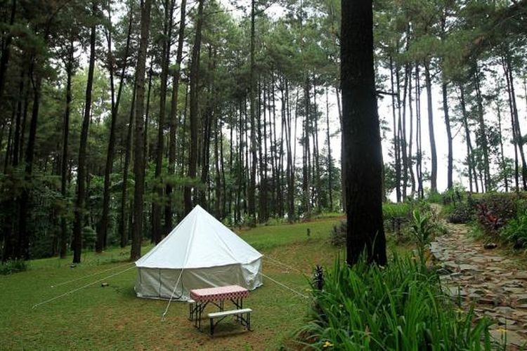 Glamourous Camping atau Glamping di Taman Wisata Alam Gunung Pancar, Bogor. 