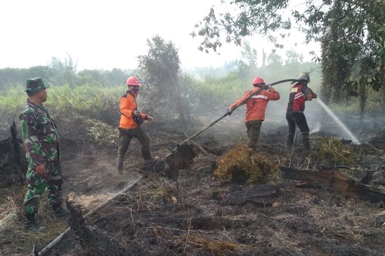 Petugas gabungan dari Manggala Agni, kepolisian, TNI dan MPA berupaya memadamkan api kebakaran lahan di Kecamatan Rumbai, Pekabaru, Riau, Minggu (14/7/2019). Dok. Manggala Agni Daops Pekanbaru