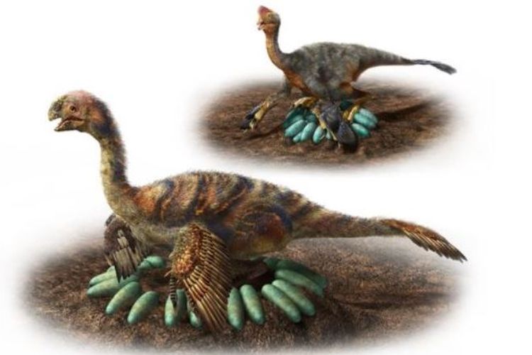 Oviraptorosaurus 