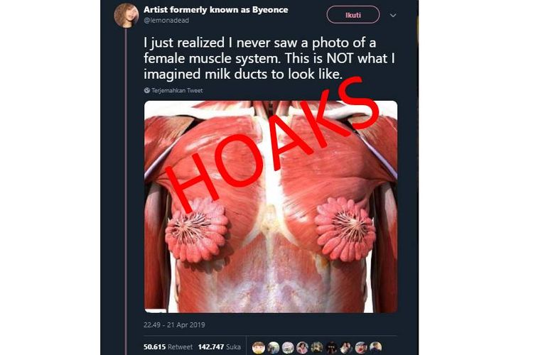 Hoaks foto yang diduga merupakan ilustrasi kelenjar susu pada payudara perempuan beredar di media sosial Twitter, MInggu (21/4/2019).