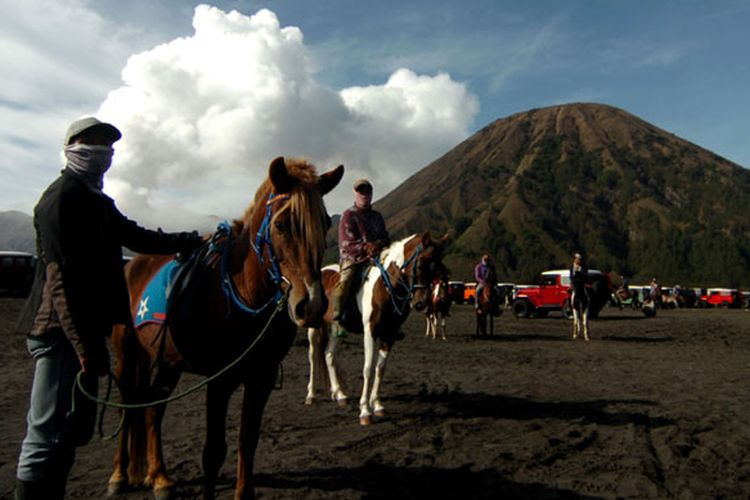 Sejumlah jasa sewa kuda berada di lautan pasir Gunung Bromo, Probolinggo, Jawa Timur, Kamis (8/11/2018). Lautan pasir seluas 5,920 hektar (sekitar 10 km persegi) membentang mengelilingi Gunung Bromo, Gunung Batok , Gunung Widodaren, Gunung Kursi dan Gunung Watangan, berada pada ketinggian 2100 m dpl tersebut merupkan salah satu tempat wisata yang digemari wisatawan dari luarkota maupun mancanegara.