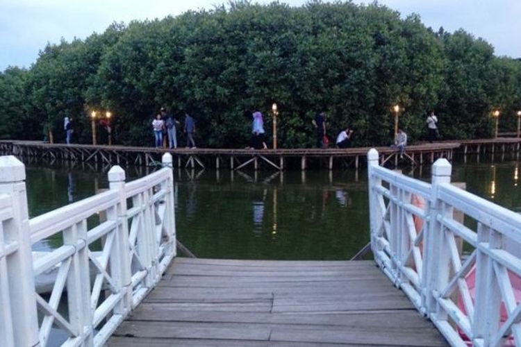 Dermaga Cinta di kawasan Mangrove Grand Maerokoco