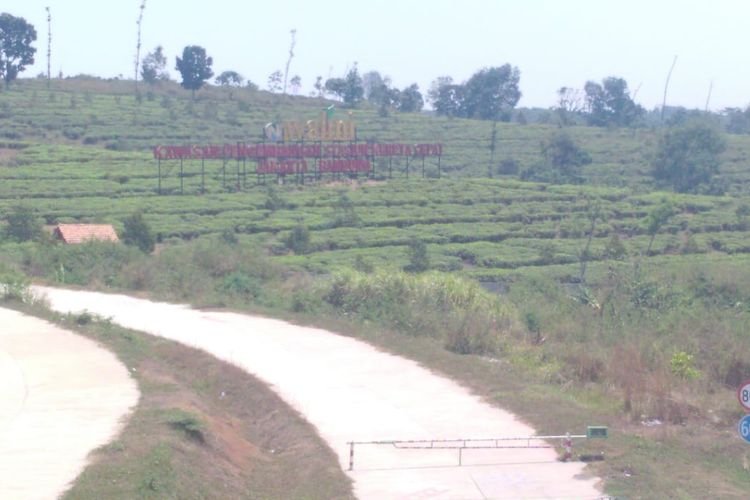 Perkebunan Walini yang akan menjadi daerah pengembangan proyek kereta api cepat Jakarta-Bandung dan diproyeksikan juga menjadi ibu kota baru Jawa Barat, Jumat (30/8/2019).