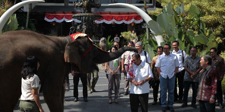 Menteri Pariwisata Arief Yahya meresmikan Baobab Safari Resort and Convention di Taman Safari II Prigen, Pasuruan, Jawa Timur, Kamis (3/8/2017). Taman Safari Indonesia II Prigen memiliki 4 zona yaitu zona satwa, zona rekreasi, zona baby zoo, dan zona Baobab. Baobab Safari Resort memiliki 148 kamar, 120 deluxe rooms, 24 premium rooms dan 4 junior suite rooms, dilengkapi 1 ballroom untuk MICE.