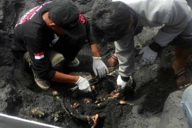 Para peneliti dari Fakultas Biologi UGM dan relawan dari WWI Yogyakarta membongkar kubur penyu di Pantai Congot, Kulon Progo. Mereka hendak  memastikan keterkaitan sampah dengan kematian penyu, Senin (17/12/2018). 