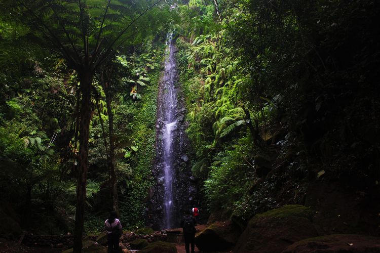 Pemadangan indah Air Terjun Sarang Sari di Mojosemi Forest Park, Kabupaten Magetan, Jawa Timur. Selain indah, Air Terjun Sarang Sari juga bisa langsung diminum karena memiliki PH 8.