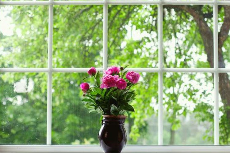 Terakhir, bersihkan jendela rumah Anda. Selain membuat rumah tampak lebih menarik, jendela yang bersih juga mampu memasukkan lebih banyak sinar matahari.