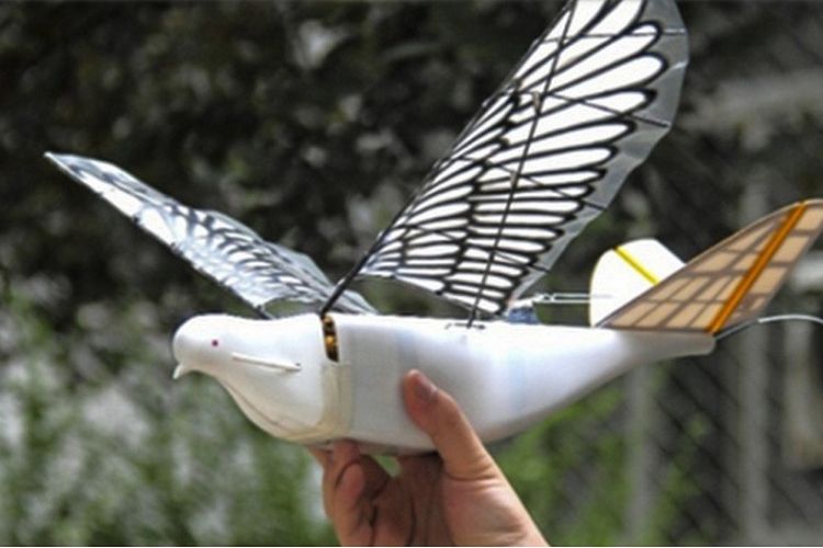 Drone burung yang diciptakan di China.
