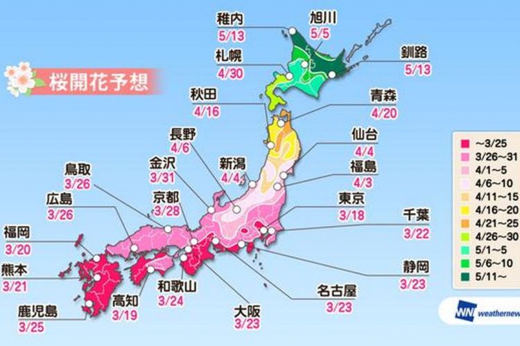 Prediksi sakura mekar di seluruh wilayah di Jepang (Prediksi diumumkan pada tanggal 16 Januari 2019/ Weather News).