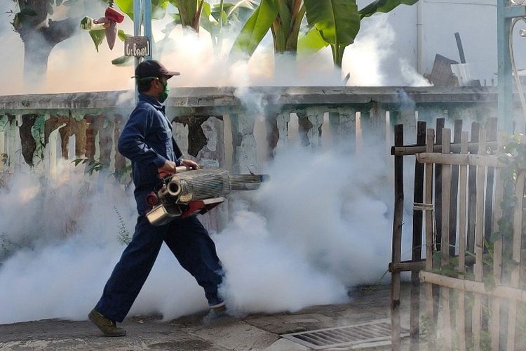 Petugas kesehatan melakukan pengasapan untuk memberantas nyamuk penyebab demam berdarah dengue (DBD) di wilayah Kecamatan Margadana, Kota Tegal, Jawa Tengah, Kamis (20/5/2021)
