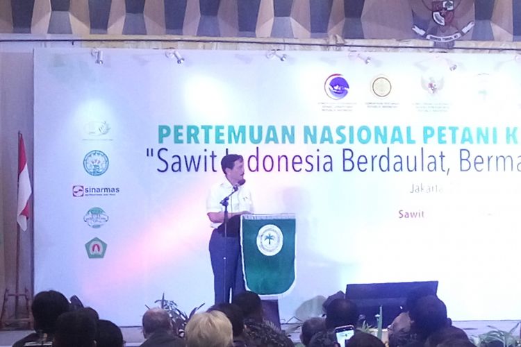 Menteri Koordinator Bidang Kemaritiman Luhut Binsar Panjaitan saat di Jakarta, Kamis (28/2/2019).