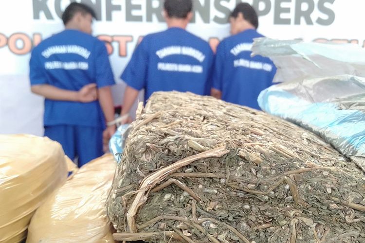 Sebanyak satu ton ganja kering siap edar dari Aceh berhasil digagalkan pengirimannya ke Jakarta. Selain menyita barang bukti, polisi juga menangkap tiga dari lima tersangka pengiriman ganja tersebut, Kamis (23/5/2019).