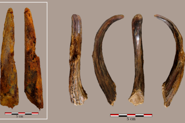 Artefak Kayu Neanderthal