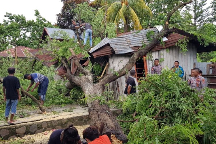 Rumah warga rusak tertimpa pohon akibat hujan dan angin kencang, Minggu (10/3/2019). 