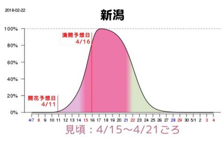 Grafik prakiraan waktu mekar sakura di Niigata