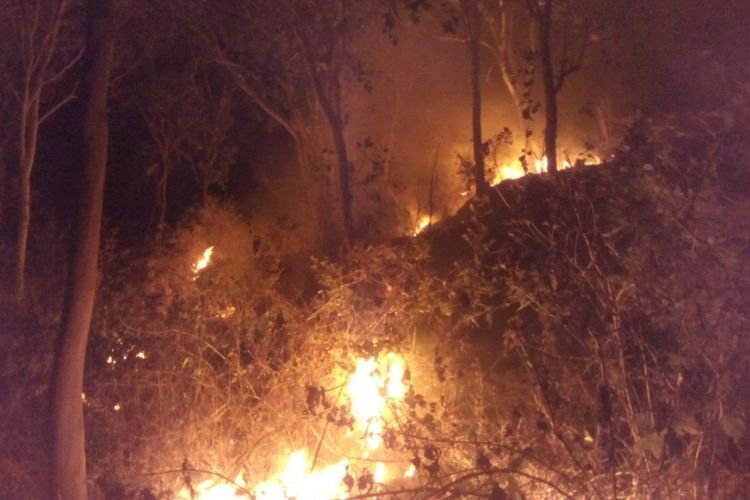 Ilustrasi: Kebakaran hutan melanda kawasan hutan di Desa Poko, Kecamatan Jambon, Kabupaten Ponorogo Senin ( 14/8/2017) malam. Diduga sumber api berasal dari sisa pembakaran sampah yang dibakar seorang penderita gangguan jiwa.