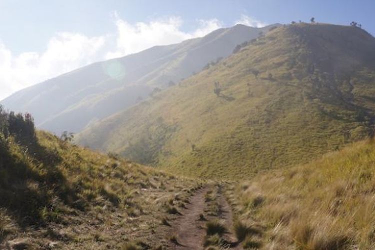Ketika sampai di Pos Sabana Satu, Gunung Merbabu, alang-alang menghampar luas. Di belakang jalur, bukit-bukit berjajar indah.