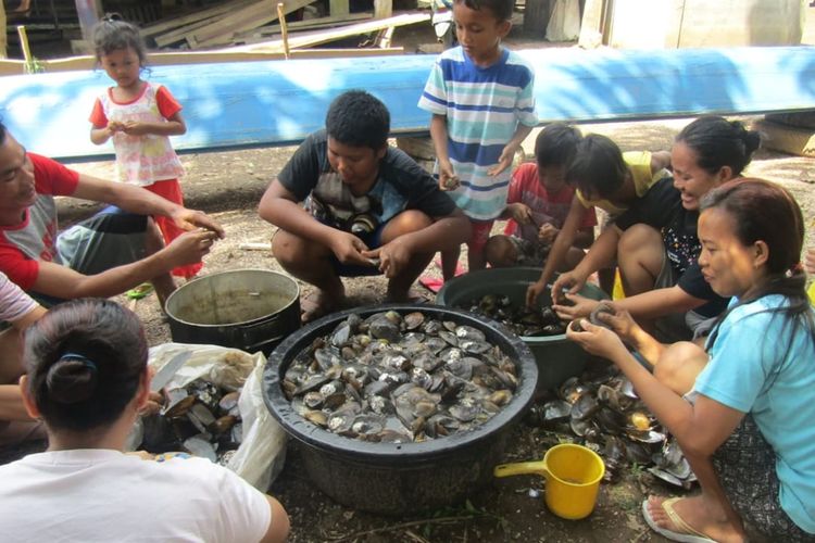 Warga di Kelurahan Kayuara, Kabupaten Muba membersihkan remis dari Sungai Musi yang surut sejak beberapa hari belakangan. Dalam sehari warga dapat mengumpulkan remis lebih dari lima karung, Senin (2/9/2019).