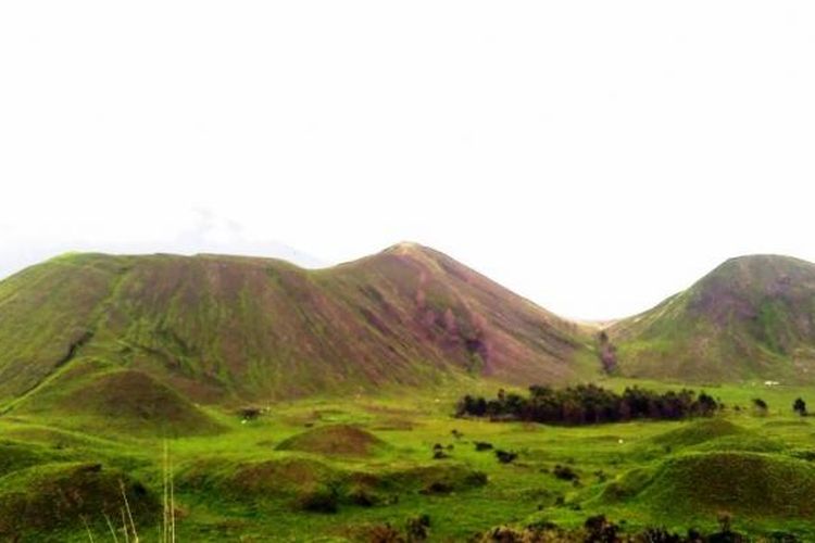 Kawah Wurung, sebuah perbukitan dipenuhi dengan rerumputan hijau, di Desa Jampit, Kecamatan Sempol, Kabupaten Bondowoso, Jawa Timur. 