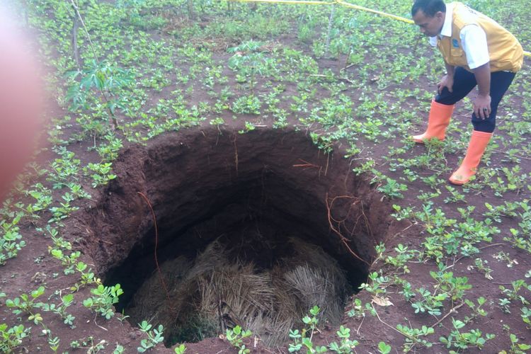 Petugas BPBD Gunung Kidul melakukan pemeriksaan lubang di lahan milik Sakino di Dusun Pringwulang, Desa Bedoyo, Kecamatan Ponjong.