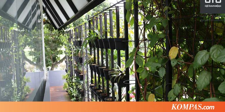 7 Trik Ciptakan Taman Tanpa Lahan