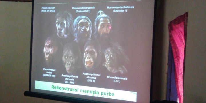 60 Persen Fosil Manusia Purba Dunia Ditemukan Di Indonesia