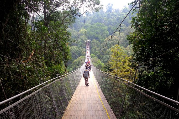 Sejumlah wisatawan melintas jembatan gantung Situgunung di Taman Nasional Gunung Gede Pangrango (TNGGP) Resort Situgunung, Kadudampit, Sukabumi, Jawa Barat, Minggu (17/6/2018).