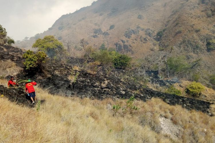 Lokasi 10 hektar padang rumput di seputaran Pulau Komodo, Nusa Tenggara Timur (NTT), yang terbakar.