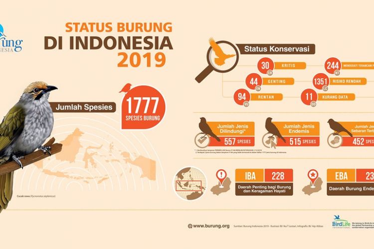 Kondisi status burung di Indonesia 