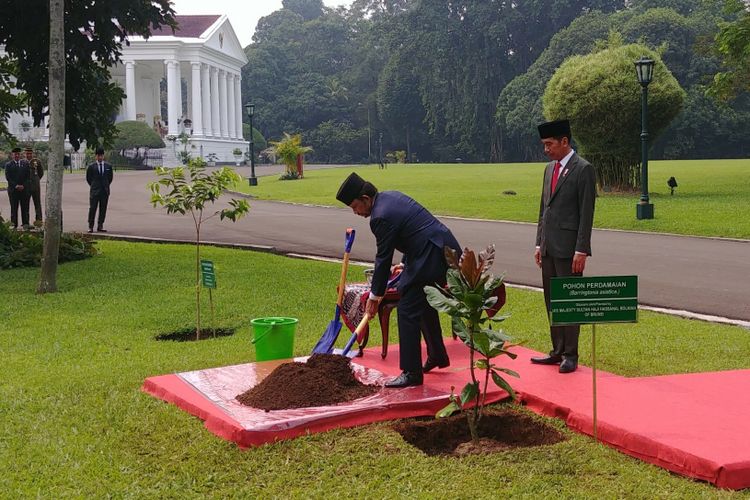Presiden Joko Widodo menerima kunjungan  Sultan Brunei Darussalam H.M. Sultan Haji Hassanal Bolkiah di Istana Bogor, Kamis (3/5/2018). 
